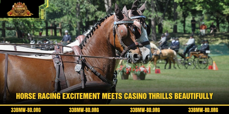 Horse racing excitement meets casino thrills beautifully