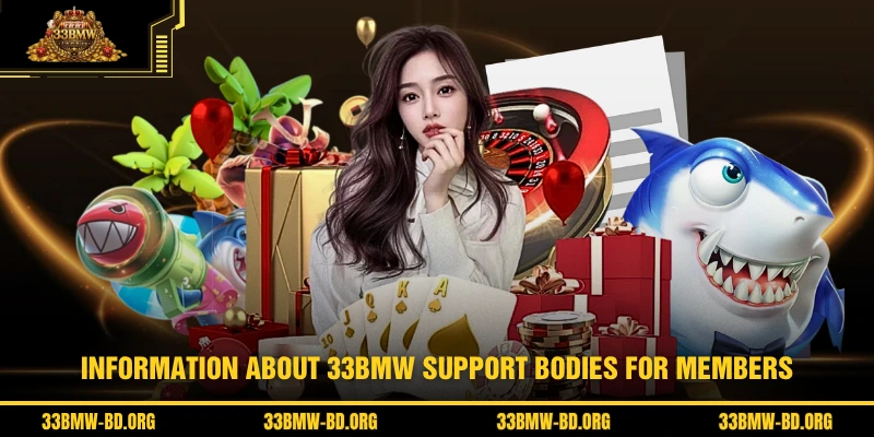Information about 33BMW support bodies for members