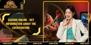 Sabong Online - Key Information About the Cockfighting