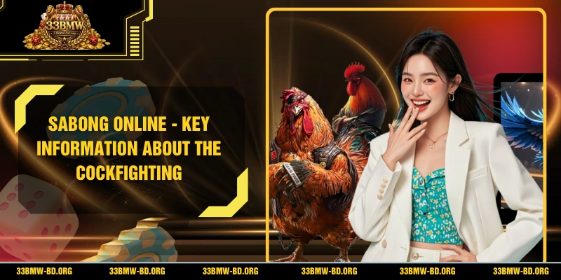 Sabong Online - Key Information About the Cockfighting